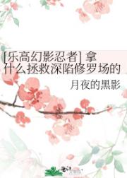 [乐高幻影忍者] 拿什么拯救深陷修罗场的