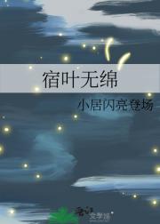 宿叶无绵