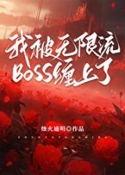 我被无限流boss缠上了