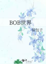 BOB世界