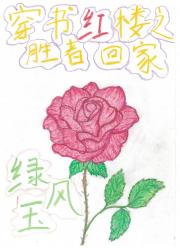 穿书红楼之胜者回家