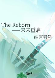 The Reborn——未来重启