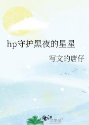 hp守护黑夜的星星