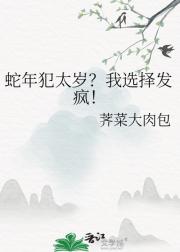 蛇年犯太岁？我选择发疯！