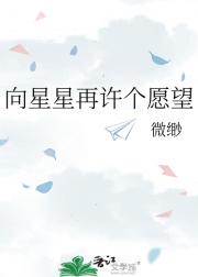 向星星再许个愿望