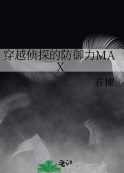 穿越侦探的防御力MAX