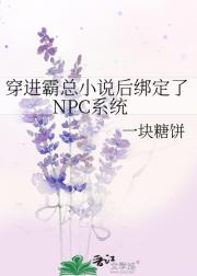 穿进霸总小说后绑定了NPC系统