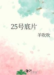 25号底片