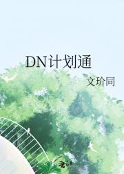 DN计划通