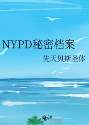 NYPD秘密档案