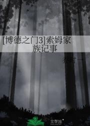 [博德之门3]索姆家族记事