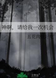 神啊，请给我一次机会