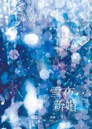 雪夜新婚