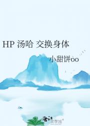 HP 汤哈 交换身体