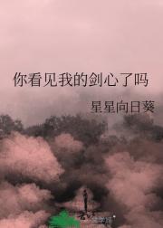 你看见我的剑心了吗