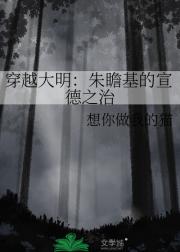 穿越大明：朱瞻基的宣德之治