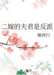 二嫁的夫君是反派