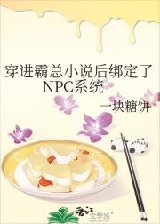 穿进霸总小说后绑定了NPC系统