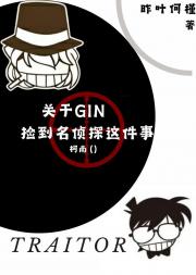 关于GIN捡到名侦探这件事