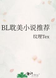 BL耽美小说推荐