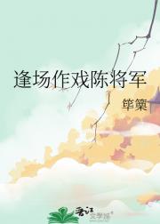 逢场作戏陈将军