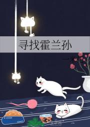 寻找霍兰孙