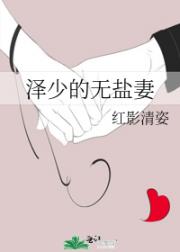 泽少的无盐妻