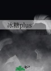 冰糖plus