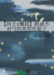 【网王x魔圆】跟最不对付的类型恋爱了