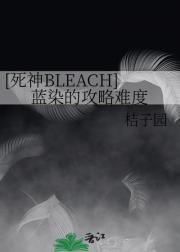 [死神BLEACH]蓝染的攻略难度