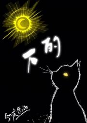 太阳下的猫