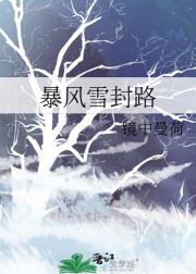 暴风雪封路