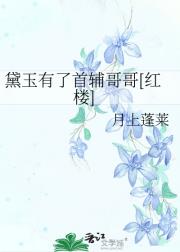 一品林首辅[红楼]