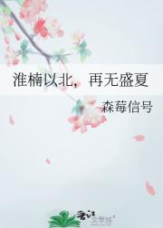 淮楠以北，再无盛夏