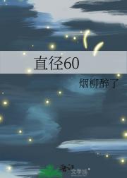 直径60