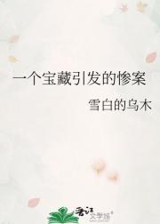 一个宝藏引发的惨案