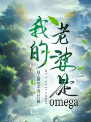 我的老婆是omega