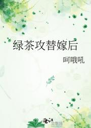 绿茶攻替嫁后