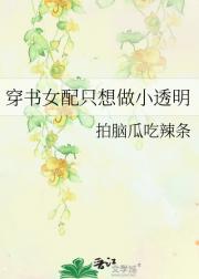 穿书女配只想做小透明