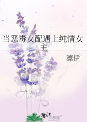 当恶毒女配遇上纯情女主