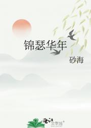 锦瑟华年