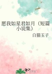 愿我如星君如月（短篇小说集）